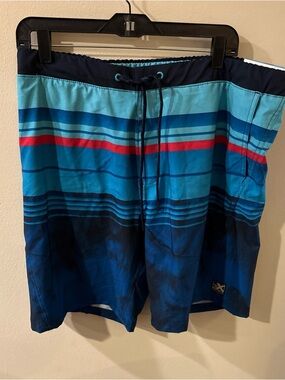 ZeroXposur Men’s Navy and Turquoise Stripe Board Shorts